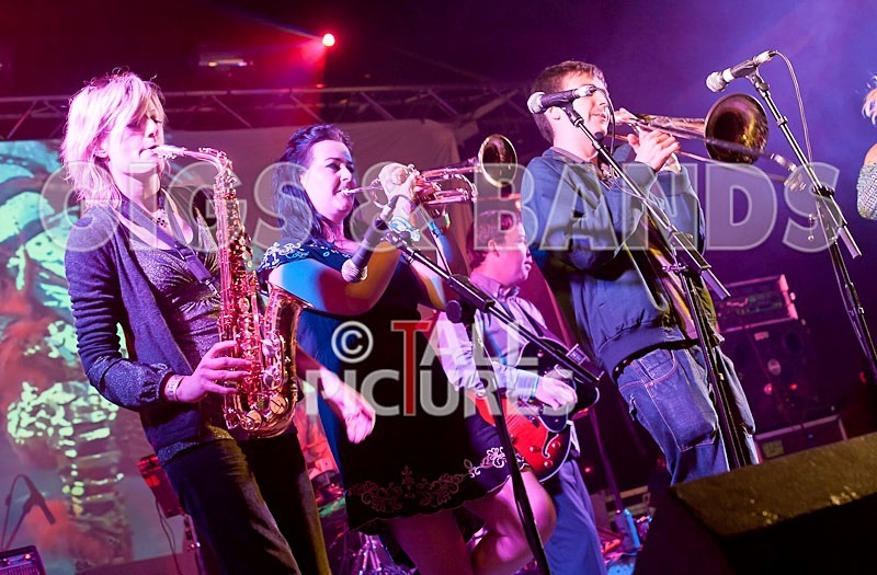 Royal Gala-7 - ROYAL GALA