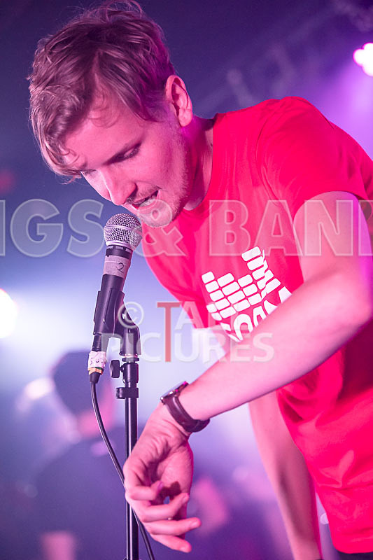 Lady and the Tramps-31 - LADY AND THE TRAMPS