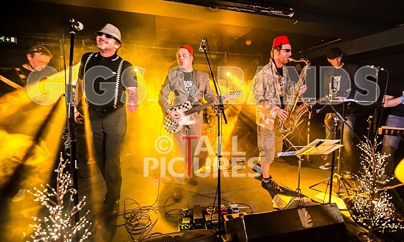 Sons of the Desert-132 - SONS OF THE DESERT