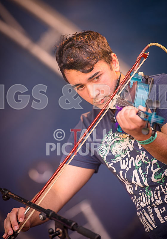 Acoustic Accord-12 - ACOUSTIC ACCORD