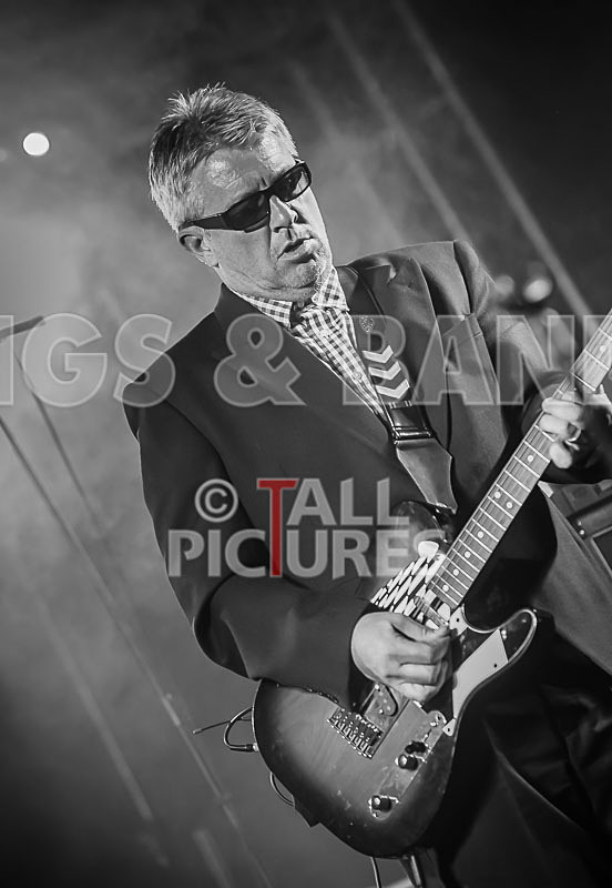 Sons of the Desert-260 - SONS OF THE DESERT