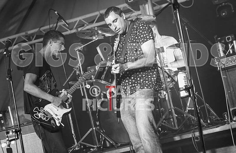 Subversion-65 - SUBVERSION