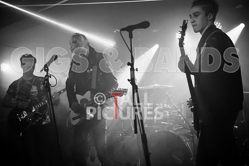 Francisco-37 - FRANCISCO