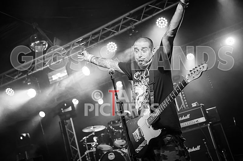 Spunge-181 - [spunge]