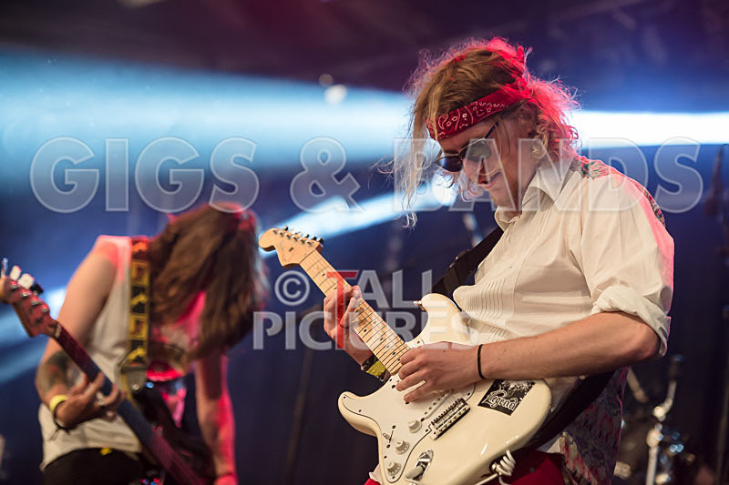 Rat Salad-9 - RAT SALAD