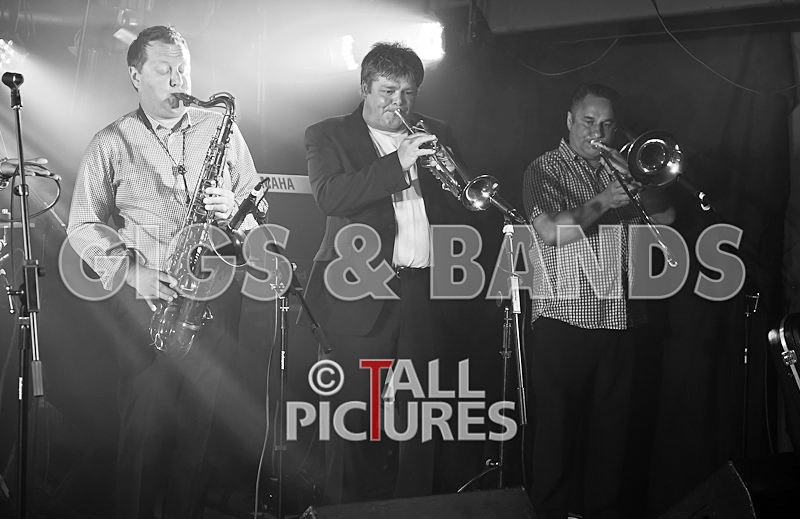 King Rat and the Soul Cats-18 - KING RAT & THE SOUL CATS