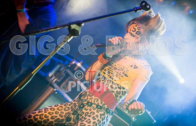 Pussycat and the Dirty Johnsons-38 - PUSSYCAT AND THE DIRTY JOHNSONS