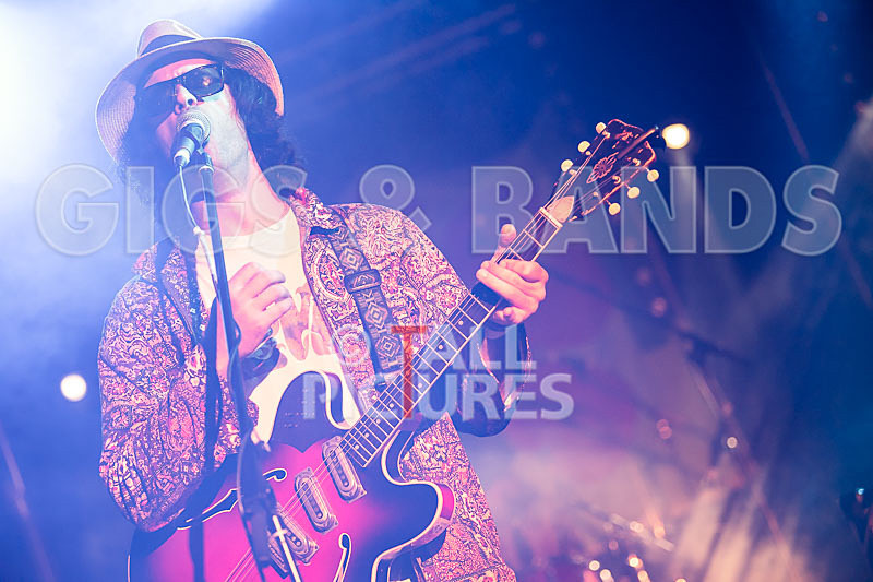 Surfin Birds-31 - SURFIN' BIRDS