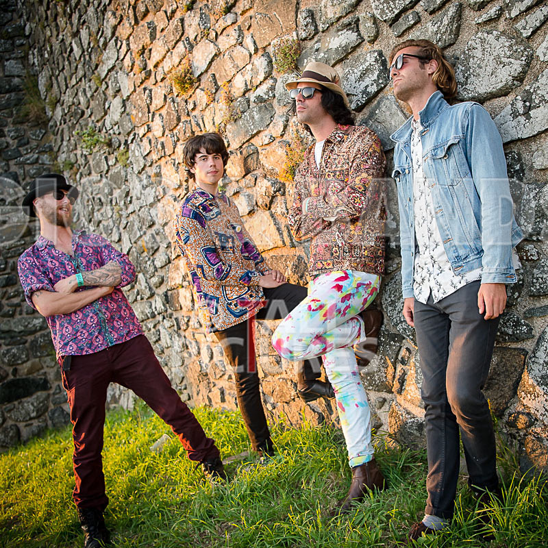 Surfin Birds-19 - SURFIN' BIRDS