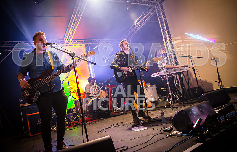 Mozaics-15 - MOZAICS