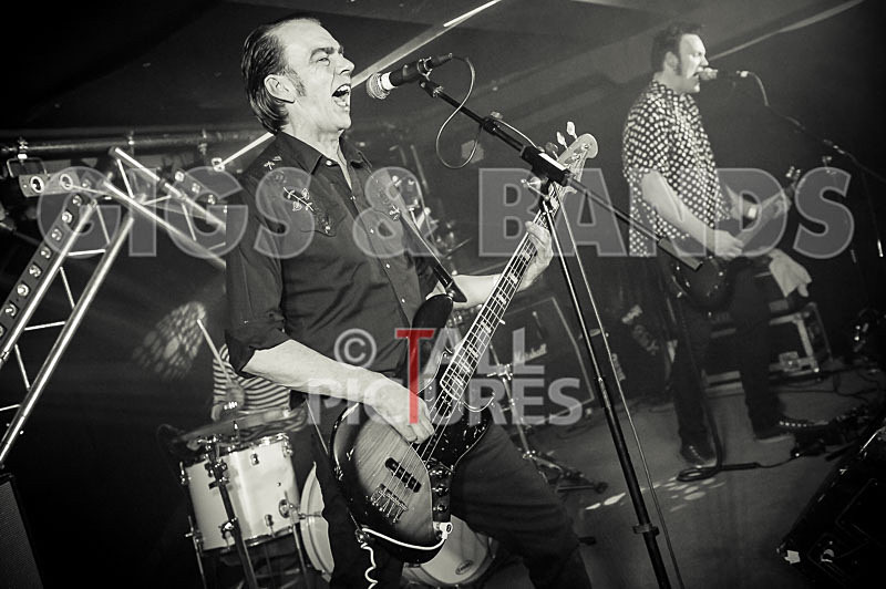 The Electric Shakes-70 - THE ELECTRIC SHAKES