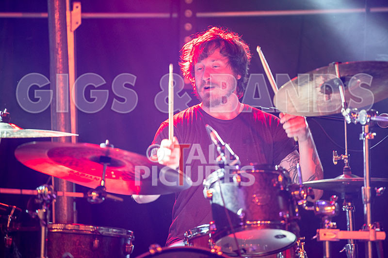 Granite Wolf-31 - GRANITE WOLF