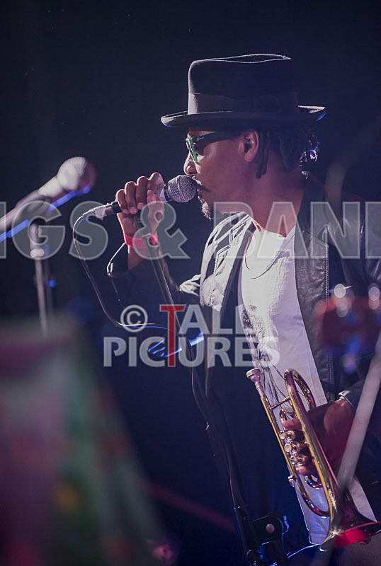 The Recks-687 - THE RECKS