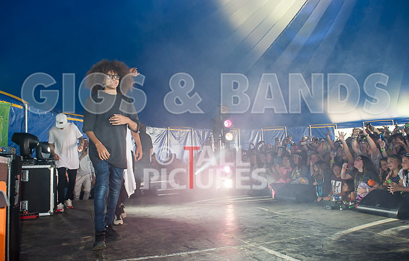 Diversity-41 - DIVERSITY