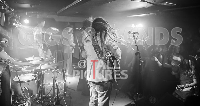 The Recks-244 - THE RECKS