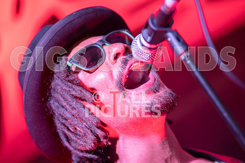 The Recks-697 - THE RECKS