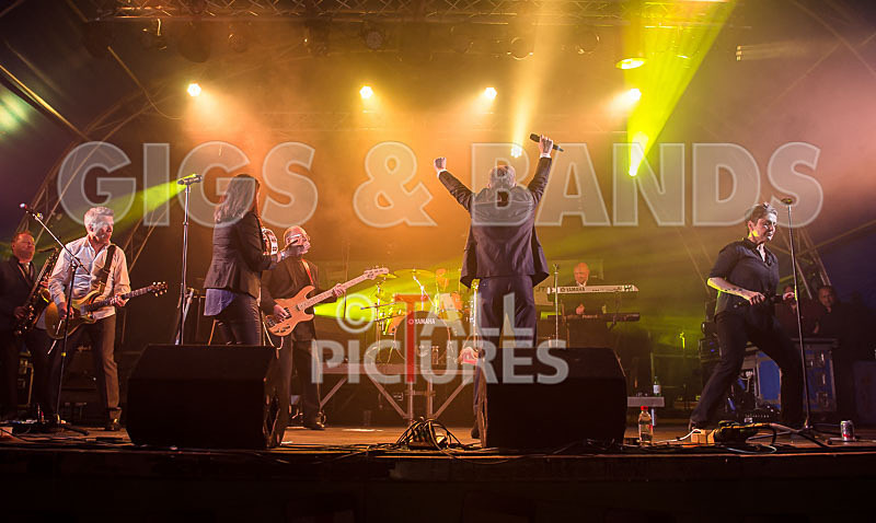 King Rat and the Soul Cats-240 - KING RAT AND THE SOUL CATS