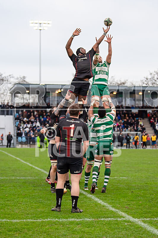 Guernsey Raiders v Rochford Hundred-8 - GUERNSEY RAIDERS v ROCHFORD HUNDRED