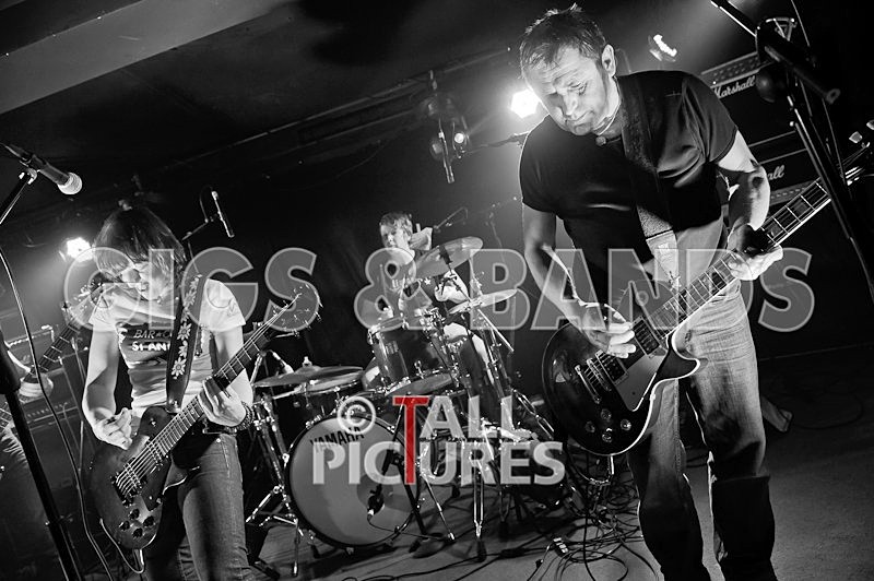 The Nelkons-71 - THE NELKONS