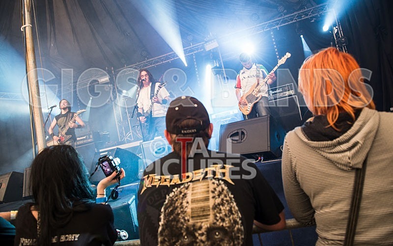 Chaos 2013_Demise of Sanity-19 - DEMISE OF SANITY