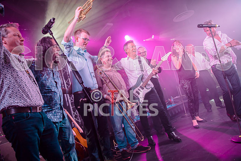 King Rat the Soul Cats-384 - KING RAT AND THE SOUL CATS