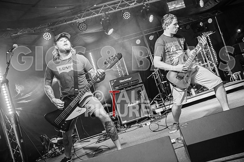 Granite Wolf-26 - GRANITE WOLF