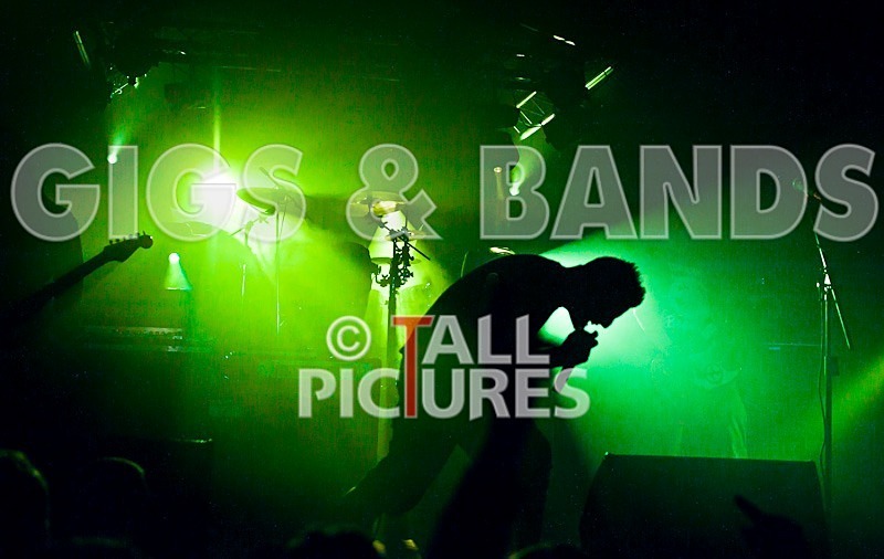 Spunge-41 - [spunge]