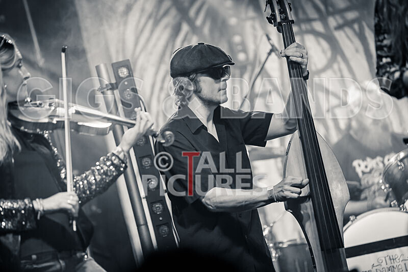 The Cor Damme Lars-130 - THE COR DAMME LARS