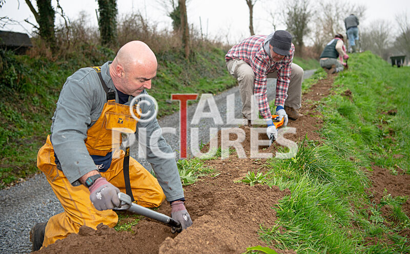 Trees for Life planting-3 - GUERNSEY TREES FOR LIFE PLANTING_2020