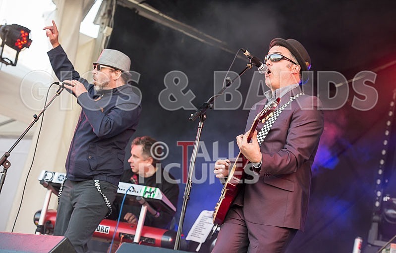 Sons of the Desert-233 - SONS OF THE DESERT