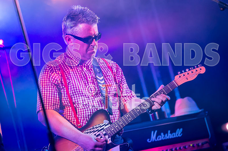 Sons of the Desert-291 - SONS OF THE DESERT