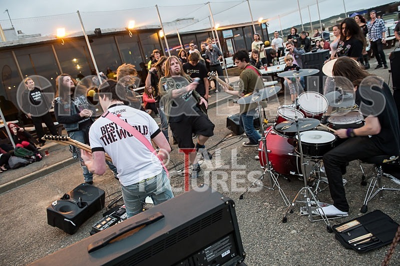 Stone Em All-139 - STONE EM ALL