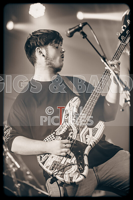 Darker Shade-19 - DARKER SHADE