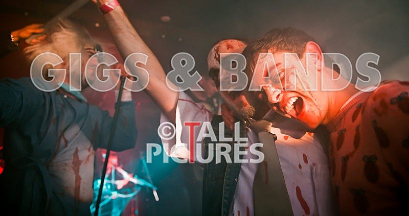 Maiden Guernsey-146 - MAIDEN GUERNSEY