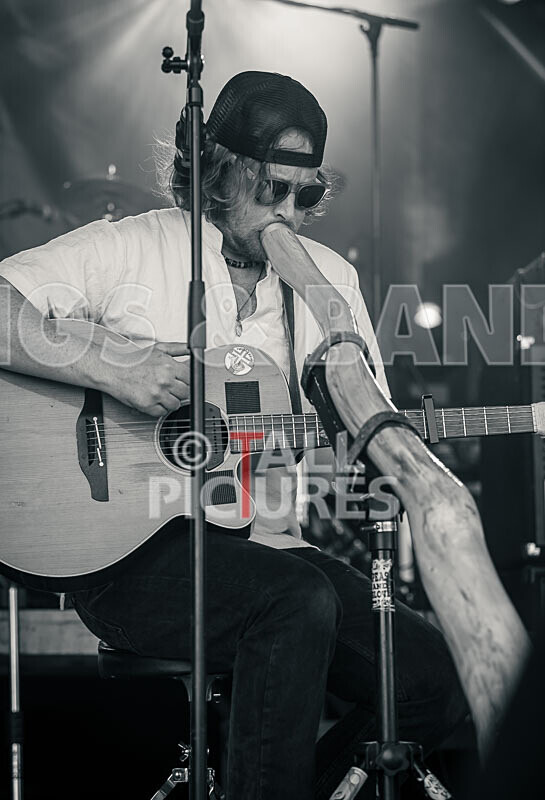 Buffalo Huddleston-711 - BUFFALO HUDDLESTON