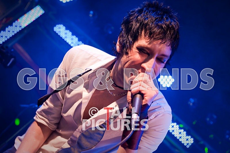 The Valentines-17 - THE VALENTINES