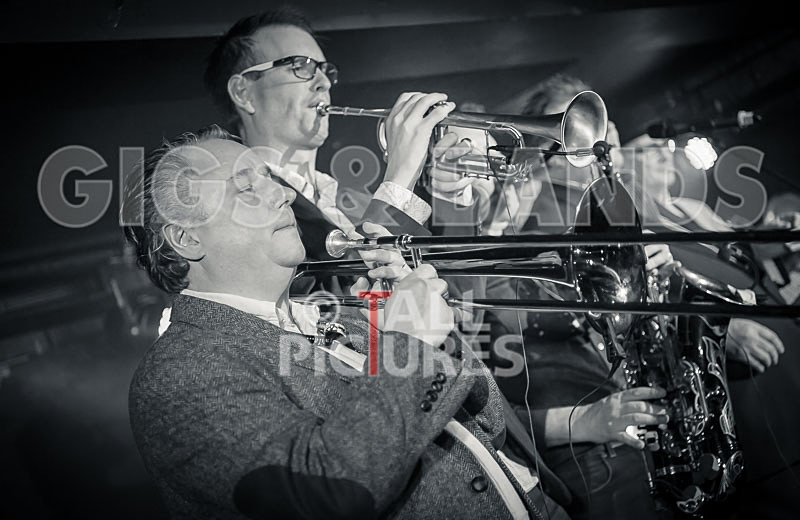 Alfie Bartons 25th Anniversary Gig-55 - ALFIE BARTON'S 25th ANNIVERSARY SPECIAL