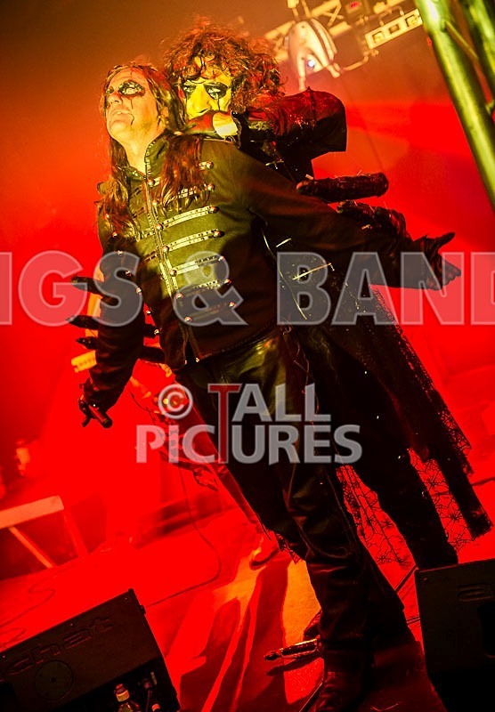 Gallus Cooper-14 - GALLUS COOPER