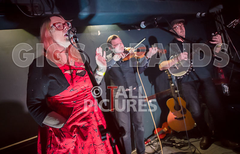 Blue Mountains-96 - VALE EARTH FAIR UNPLUGGED 2018