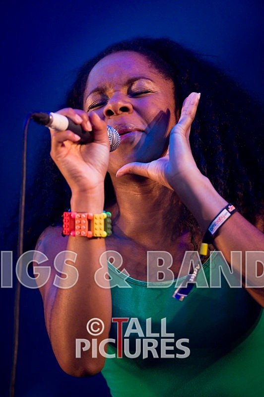 Go Team-2 - THE GO! TEAM