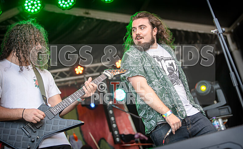 The Dust-10 - THE DUST