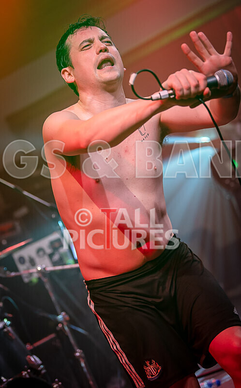 Pigsx7-60 - PIGS PIGS PIGS PIGS PIGS PIGS PIGS