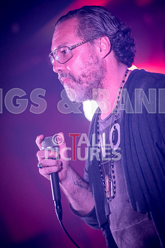 Gay Army-381 - GAY ARMY