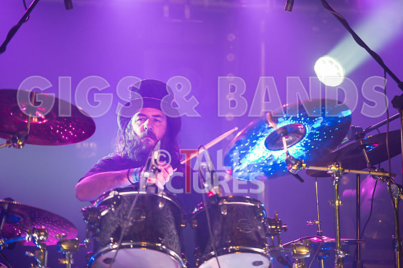 Peppered Ant Legs-175 - PEPPERED ANT LEGS