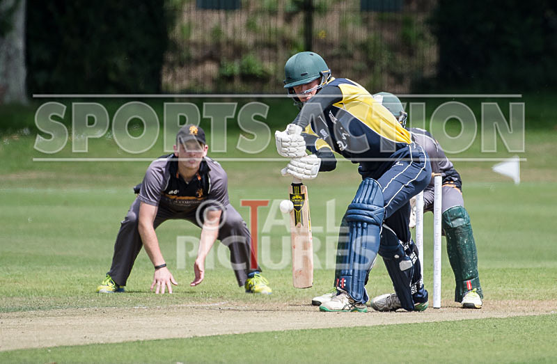 Cricket_Wanderers vs Griffins-40 - WANDERERS vs GRIFFINS