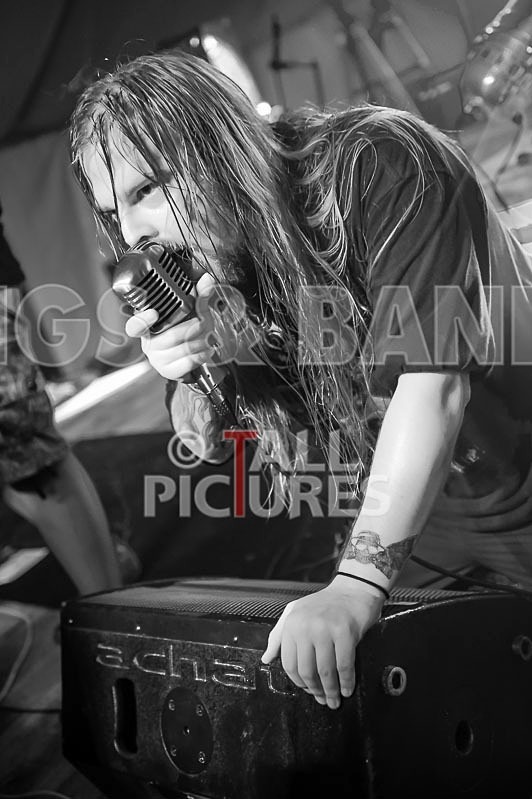 Stone Em All-42 - STONE EM ALL