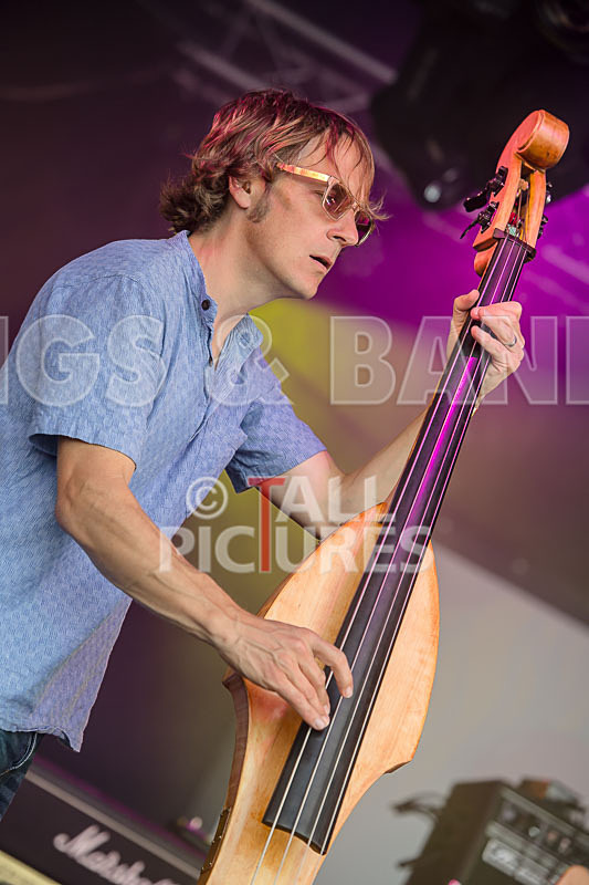 Buffalo Huddleston-462 - BUFFALO HUDDLESTON