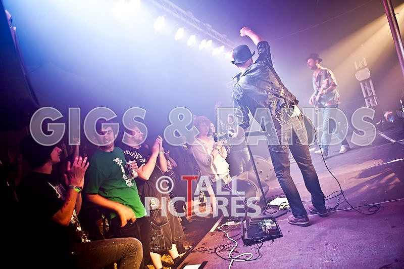 Peppered Ant Legs-86 - PEPPERED ANT LEGS