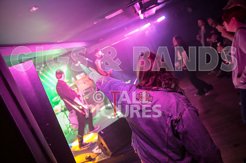 The Electric Shakes-137 - THE ELECTRIC SHAKES