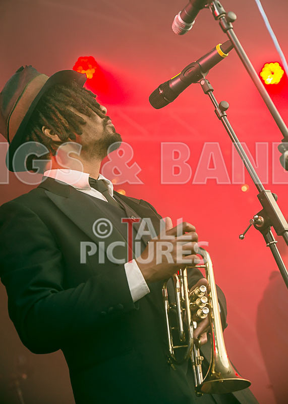 The Recks-412 - THE RECKS